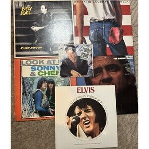 Lot Of 6 Vintage Vinyl Records, Sonny And Cher, Elvis, Springsteen, Cash, Travis